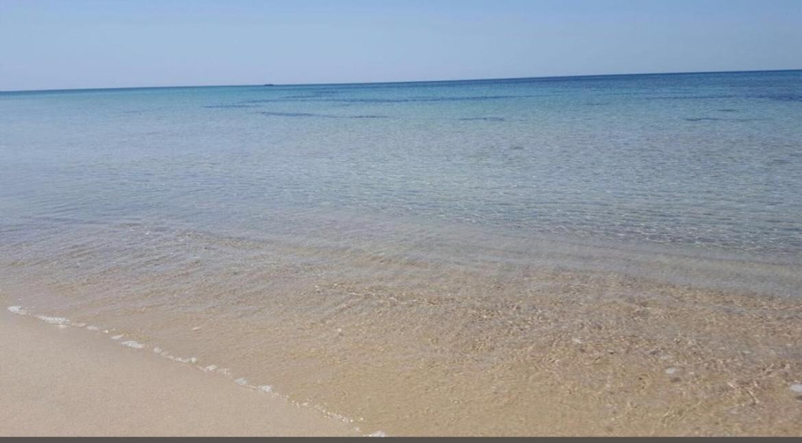 Villa Charmante De 4 Au Deux Oueds Hammamet *