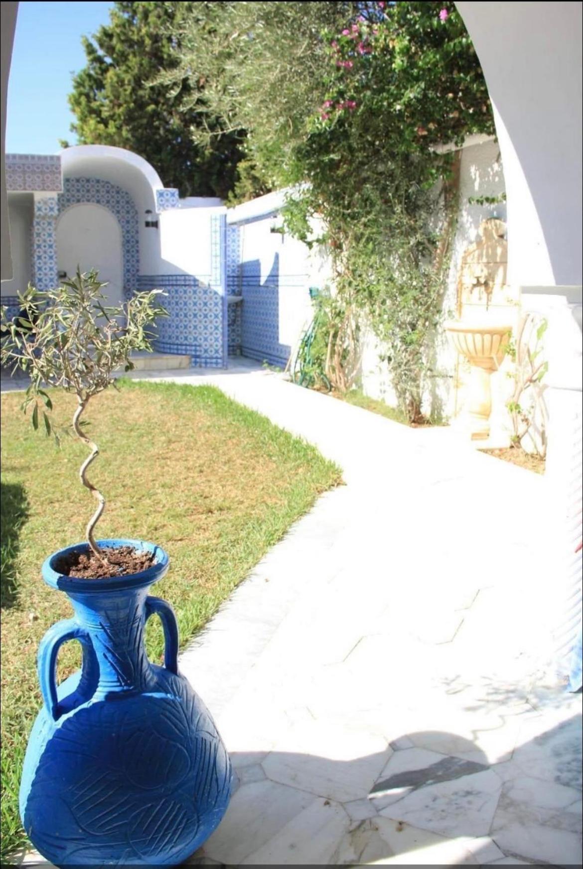 Charmante De 4 Au Deux Oueds Hammamet Villa *